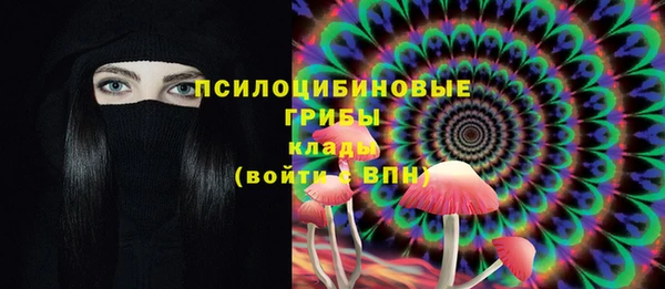 гидра Аркадак