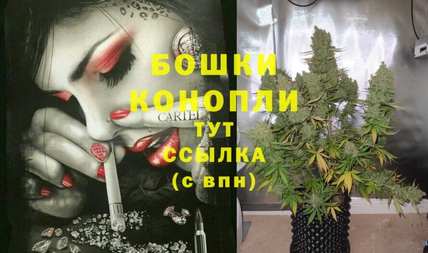 apvp Армянск